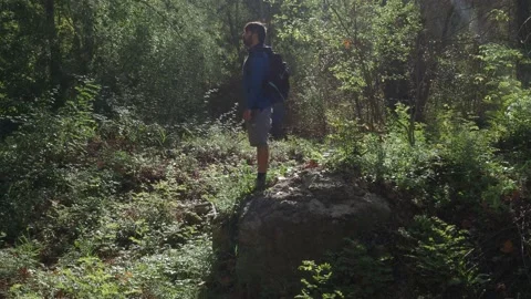 Adventurous man with his backpack through the forest. Hiker, explorer Stock Footage 139615654