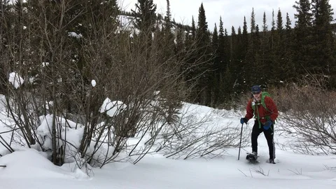 Adventurous Man Snowshoeing Through Deep White Snow in Colorado Video stock 102083234
