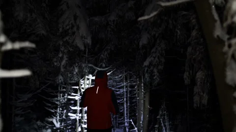 Adventurous man walking through snowy mountain using headlamp and walking sticks Stock Footage 146972268