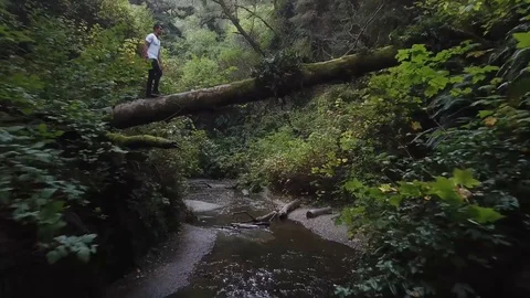 Adventurous Man Walks Across Log Over River in the Forest Drone Shot 스톡 동영상 99013414
