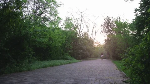 Adventurous mountain biker riding a park track on a trail ride at sunrise Stock Footage 75764236