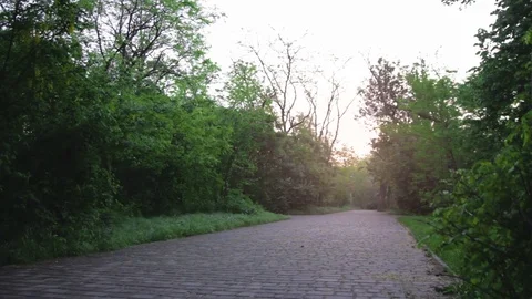 Adventurous mountain biker riding a park track on a trail ride at sunrise Stock Footage 75958864