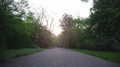 Adventurous mountain biker riding a park track on a trail ride at sunrise 스톡 동영상 75959367