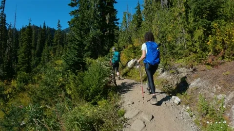 Adventurous people hiking in Canadian Mo... | Stock Video | Pond5