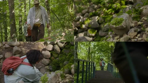 Adventurous People Wandering through Forest Paths Split Screen Stock Footage 289361012