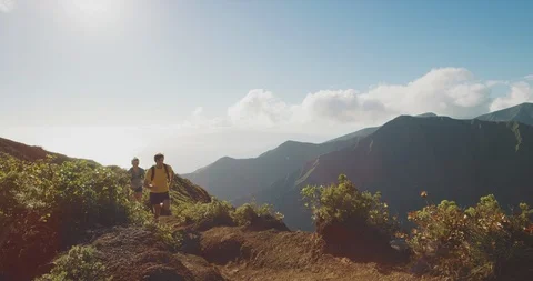 Adventurous runners exploring the outdoors together Stock Footage 124604608