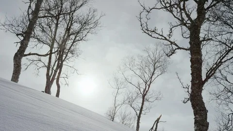 Adventurous skier skiing in slow motion downhill through snow covered slopes Stock Footage 116787393