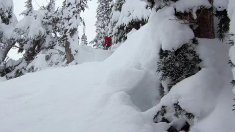  Adventurous snowboarder jumping between snowy trees down the mountain Stock Footage 116783023