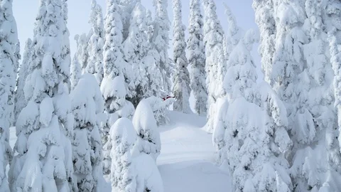 Adventurous snowboarder riding between snowy trees down the mountain Stock Footage 116782906