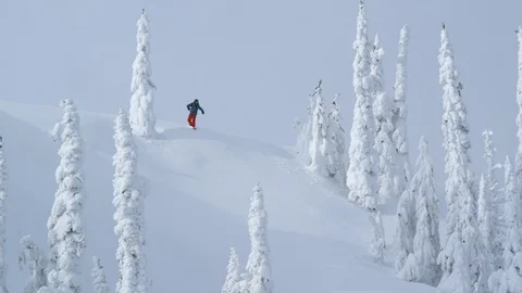 Adventurous snowboarder riding between snowy trees down the mountain Stock Footage 116782947