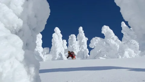 Adventurous snowboarder riding between snowy trees down the mountain Stock Footage 116783014