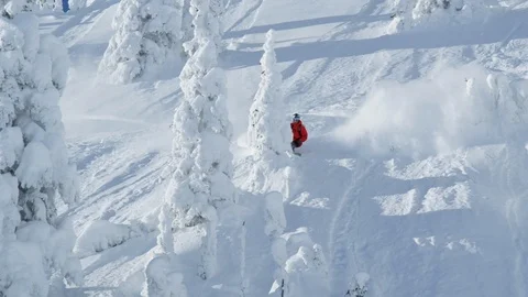 Adventurous snowboarder sliding through snow covered trees on mountain slope Stock Footage 116783509