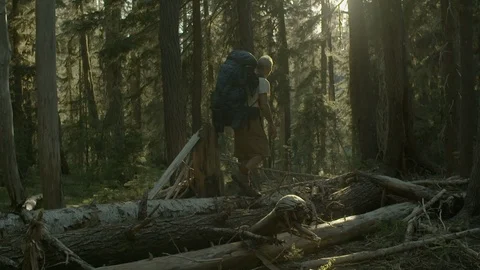 Adventurous tourist walking on a fallen tree in the forest Stock Footage 87613393