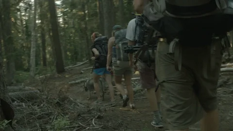 Adventurous tourists walking through a dense forest Stock Footage 87613916