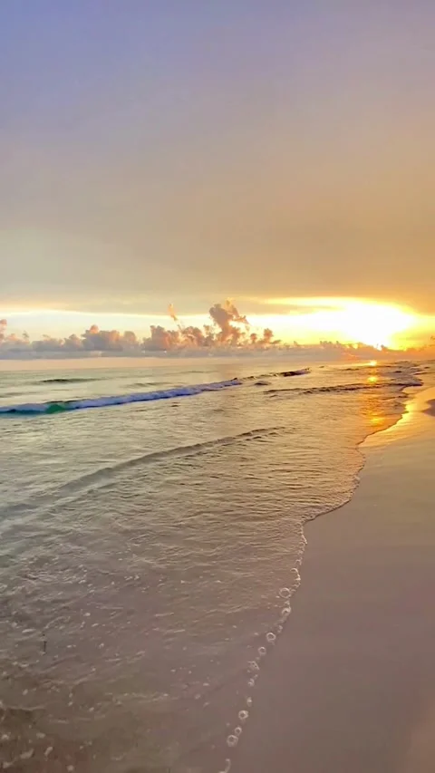 From Adversity to Victory: Stories of Triumph Over Challenges Stock Footage 256132053