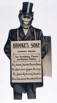 Advert for 'Brooke's soap' (front) Illustrazione stock