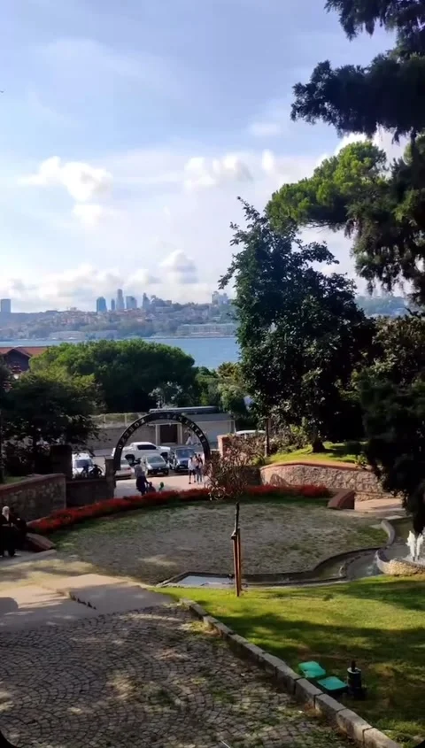 Advertisement Stock Footage 209166245