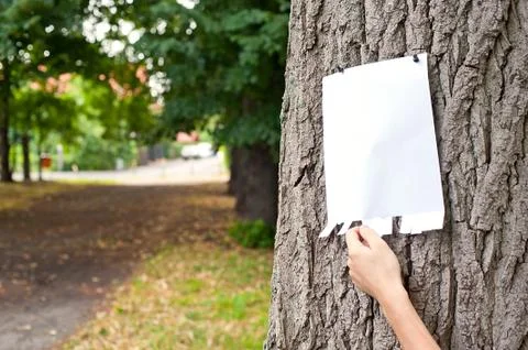 Advertisement on tree and hand Stock Photos