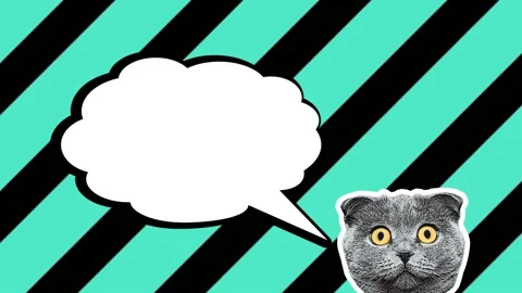 Advertising background cat empty speech bubble Vidéo 130916854