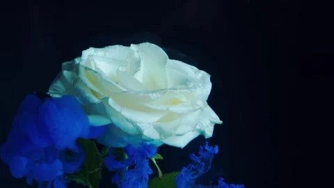Advertising of spirits. Stock-Footage 89005155