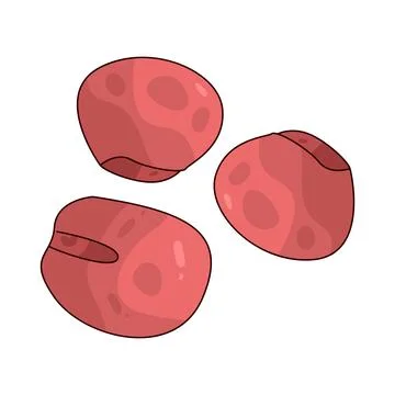 Adzuki Bean illustration Stock Illustration