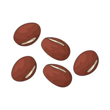 Adzuki Bean illustration Stock Illustration