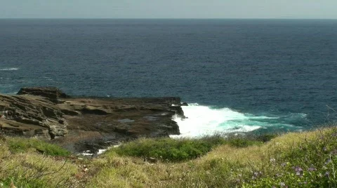 AE Video stock 686219