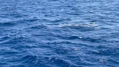 Aegean blue wavy sea Stock Footage 148489093