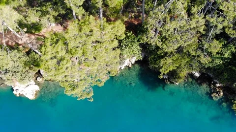 Aegean Coastal Pine Forests in the Spring (Drone Shot) Stock Footage 114086830