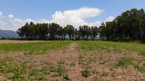 Aegean Fields in the Spring (Aerial) Stock Footage 91459069