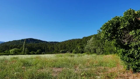 Aegean Fields in the Spring Stock Footage 85212035