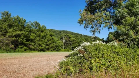 Aegean Fields in the Spring Stock Footage 85214461