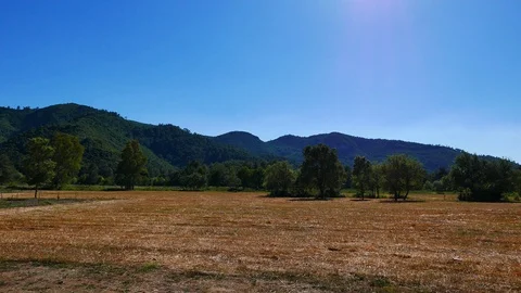 Aegean Fields in the Spring Stock Footage 91055997
