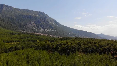 Aegean Pine Forests (Aerial) Stock Footage 91453569
