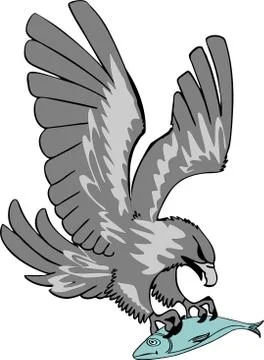 Aegle Stock Illustration