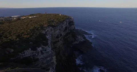 Aeiral of Trees and Cliff Face by the Sea Stock Footage 77895317