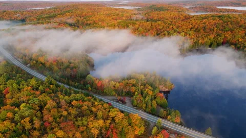 Aeiral view of a lake and forest in autumn Stock Footage 288721721
