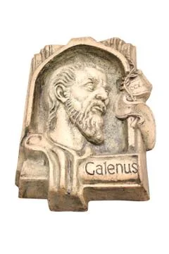 Aelius galenus Foto stock