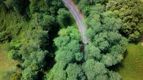 Aerail top view of a car driving on a winding road surrounded by greenery Stock Footage 346244189
