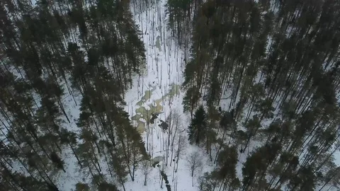 Aeral: camera flies over winter fores. Big frozen lake in the middle of winter Stock Footage 90130630