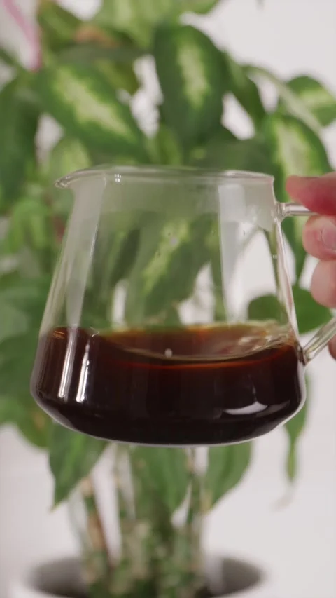 Aerating fresh coffee in glass server with green plant Stock Footage 332720139