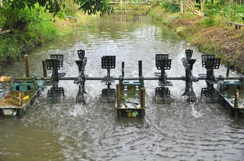 Aerator Stock Photos