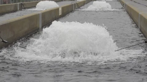 Aerators circulate water at a fish hatchery with fish jumping Stock Footage 327700638