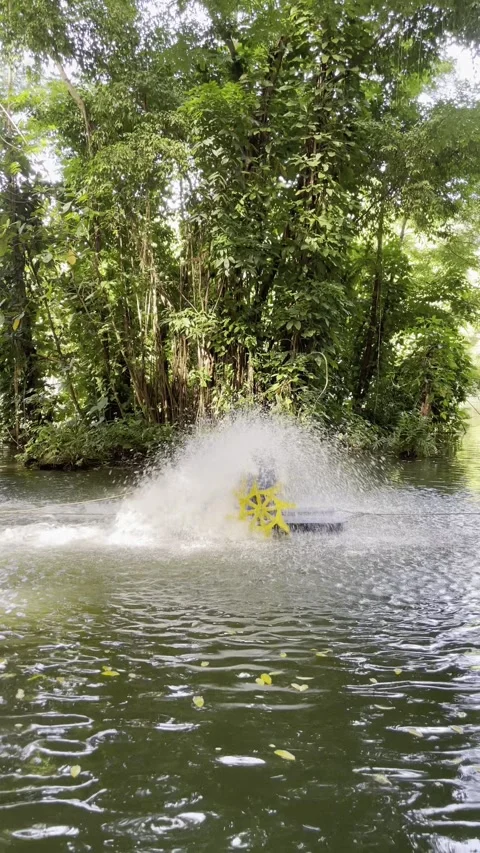 Aerators Machine for Fish Ponds Vertical Video Stock Footage 301878656