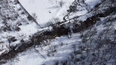 Aereal view of snow mountain trees and people walking Stock Footage 158547576