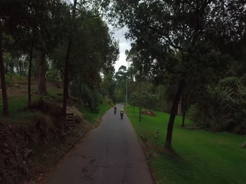 Aereo motorcycle forest highway Video stock 75167882