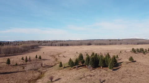 Aeria Toward Mountains Over Scrub and Trees Stock Footage 131289634