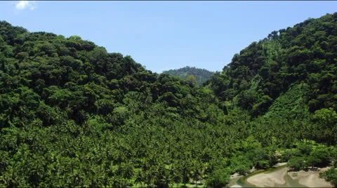 Aeria view Inside a Tropical Mountain Range and a Riverbank Video stock 25364319