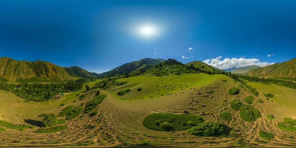 Aerial 360 degrees panorama in equirectangular projection of flock of sheep Fotos de archivo