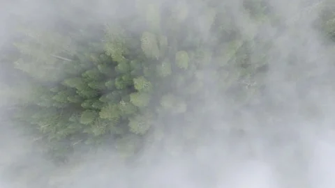 Aerial 4K Beautiful Forest Fast moving clouds Stock Footage